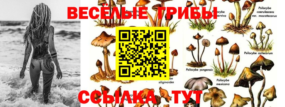Псилоцибиновые грибы Psilocybine cubensis  Вход с VPN  Галлюциногенные грибы Cubensis  Серпухов 